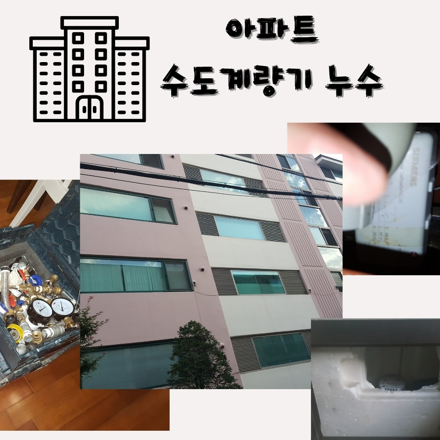 도창동누수탐지 천장 얼룩과 배관 상태 확인 사진 1